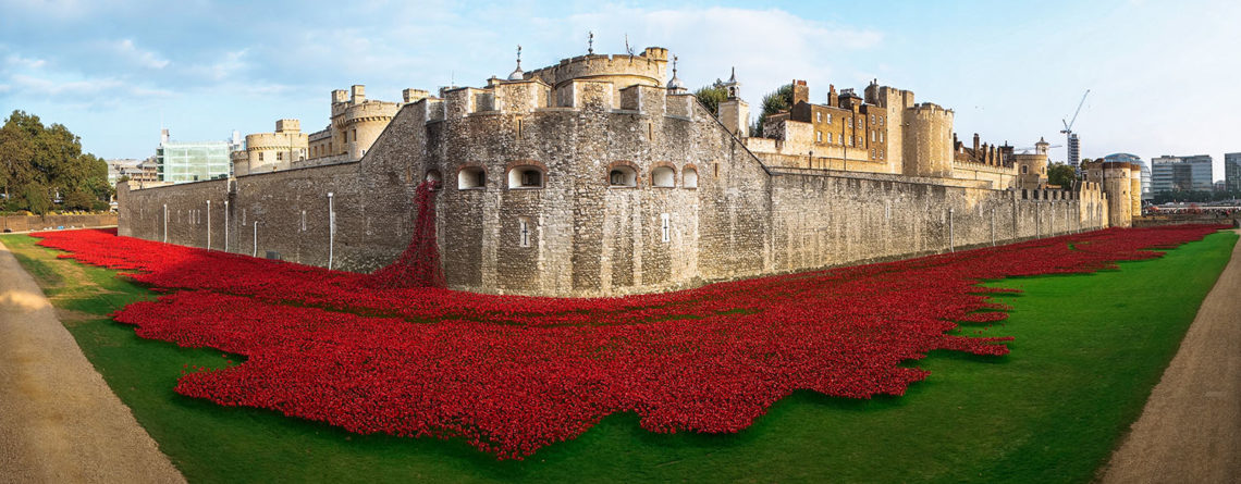 remembrance poppy tower of london for sale remembrance poppy tower of london for sale