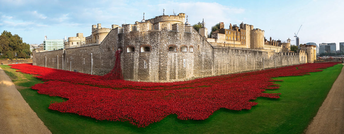 remembrance poppy tower of london for sale