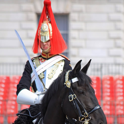 household-cavalry-mounted-unit-2